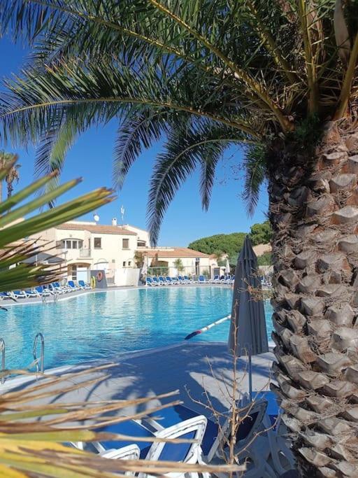Studio Renove Dans Residence De Vacances Avec Grande Piscine Chauffee, Parking Et Terrasse Agde Εξωτερικό φωτογραφία