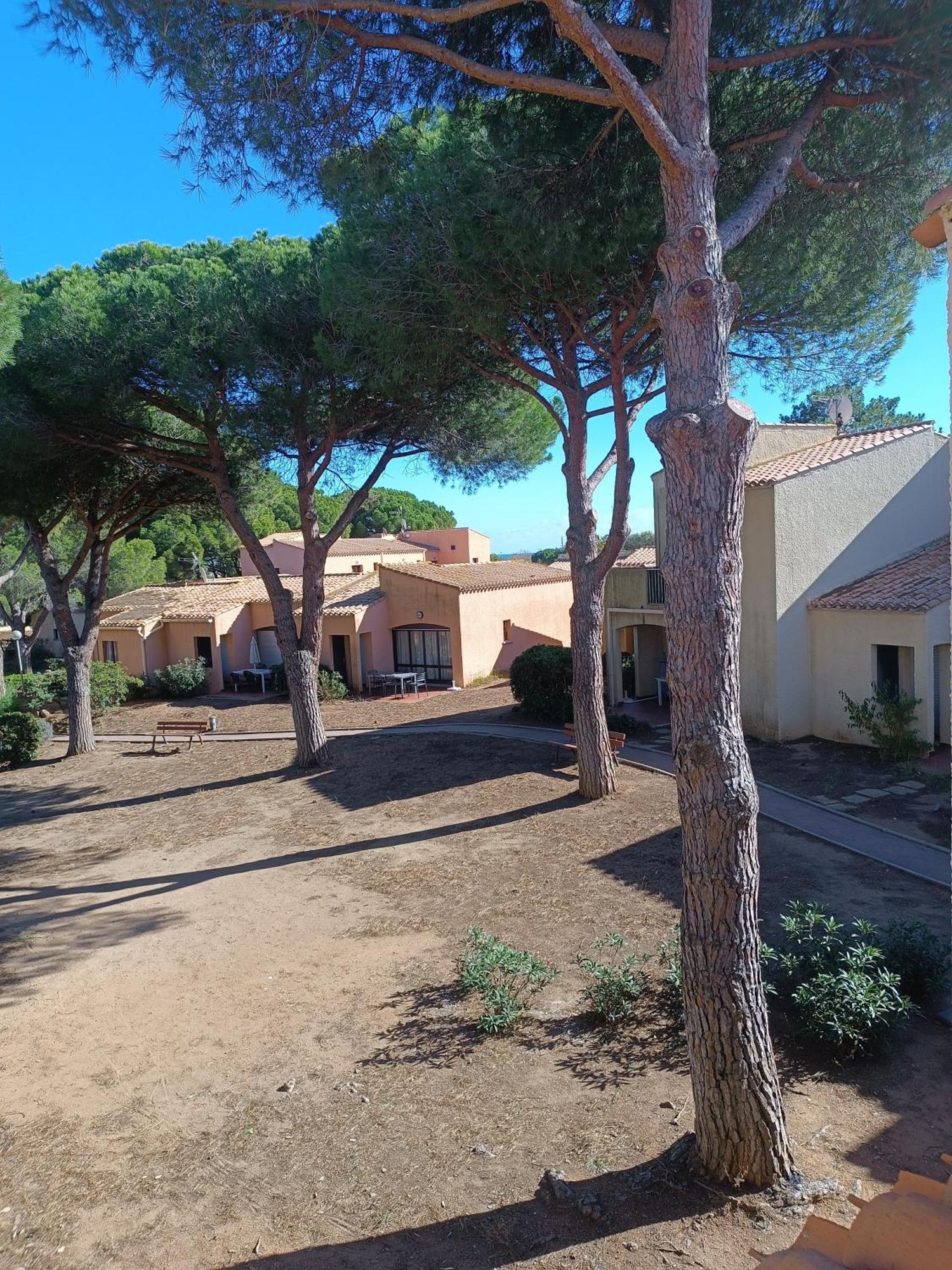 Studio Renove Dans Residence De Vacances Avec Grande Piscine Chauffee, Parking Et Terrasse Agde Εξωτερικό φωτογραφία
